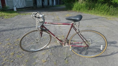 free spirit ten speed bike